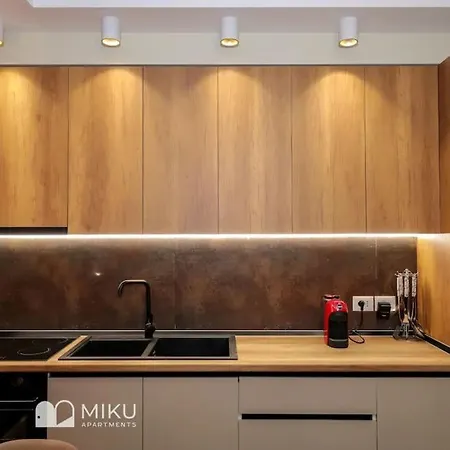 Miku - Contemporary 1 Bdr At Komuna E Parisit Apartment Tirana